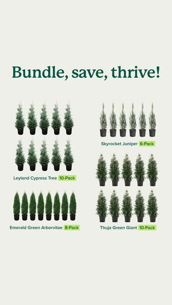 Fast Growing Trees ad