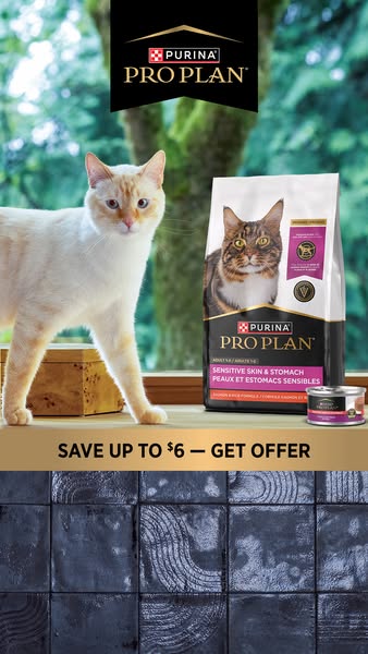 This ad promotes Purina Pro Plan Sensitive Skin & Stomach cat food with a light orange cat standing near the food. T