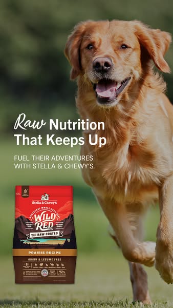 This image ad showcases Stella & Chewy's Wild Red Raw Coated Prairie Recipe dog food. It emphasizes raw nutritio