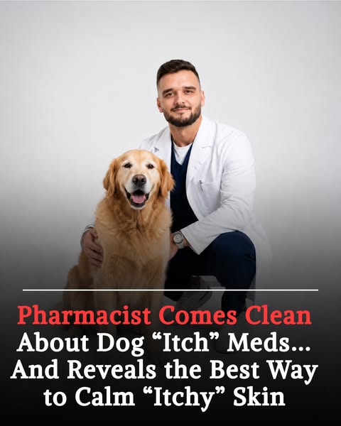 Dr. Jesse Ropat ad