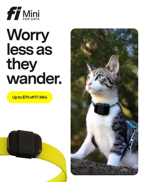 This image ad for Fi Mini cat collars uses a close-up shot of a cat with the product to advertise the collar's wande