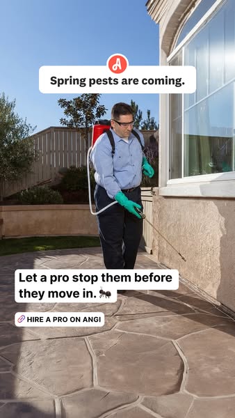 This image ad promotes Angi as a solution for homeowners to hire a professional to prevent spring pests from entering th