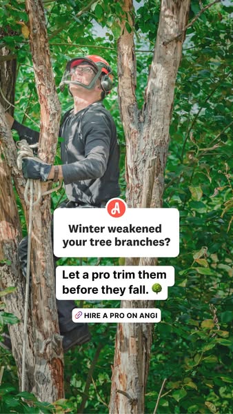 This ad highlights the damage winter can cause to trees and presents a tree trimming service as the solution.