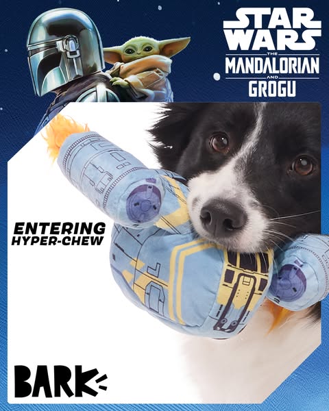 This ad features a dog with a Star Wars-themed chew toy. The ad promotes BarkBox and features an image of The Mandaloria