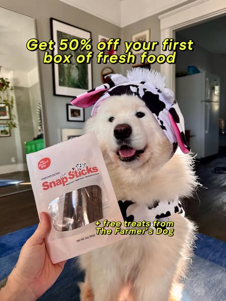 Carl The Sammy ad