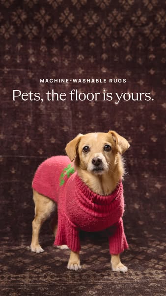 This ad features a dog wearing a sweater standing on a rug from the brand that is washable, with the headline "Pets