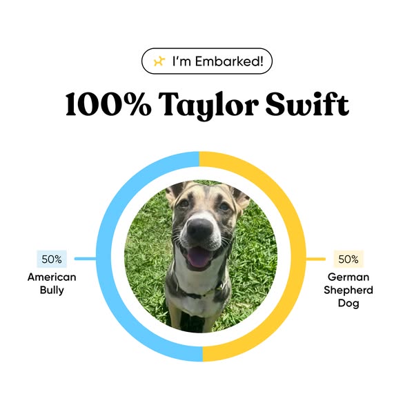 An image ad for Embark dog DNA tests shows a mixed breed dog with a ring around the dog's portrait representing the 