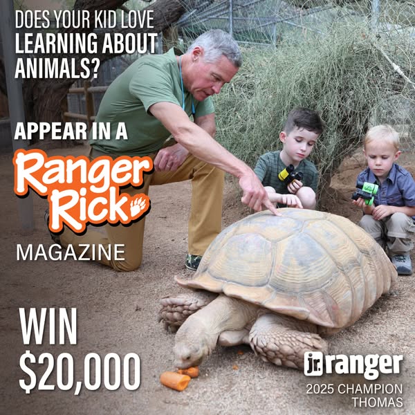 Jr. Ranger ad
