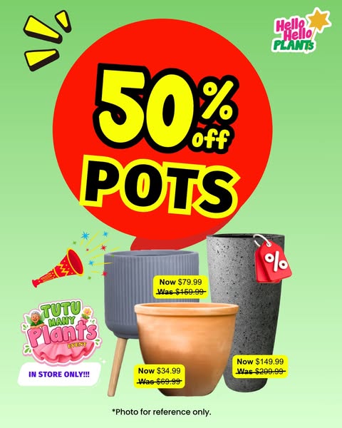 Hello Hello Plants Nursery ad