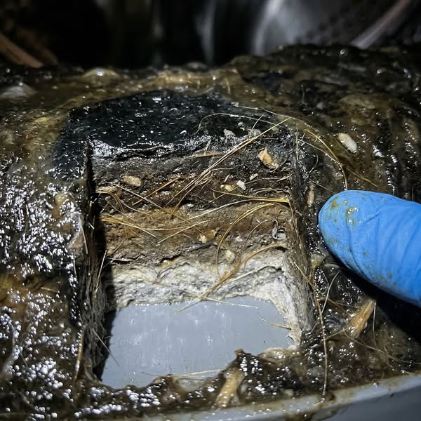 This ad features an image of a blocked drain filled with what appears to be grease, hair, and other debris. A gloved han