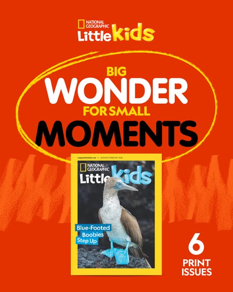 This ad for National Geographic Little Kids features the magazine cover and promotes a subscription to the magazine.
