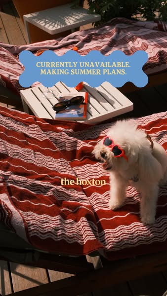 This image ad depicts a dog wearing heart-shaped sunglasses on a red and white striped blanket, positioned on top of a b