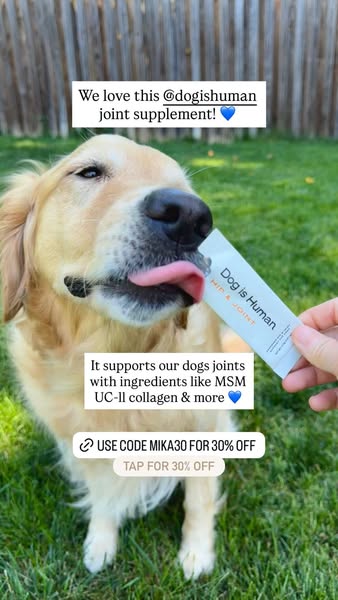 Goldenpup.mika ad