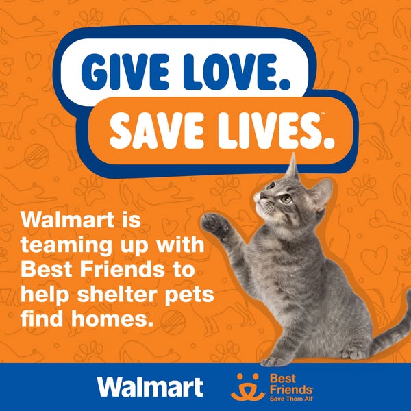 This ad for Walmart promotes their partnership with Best Friends Animal Society to help shelter pets find homes. The ima