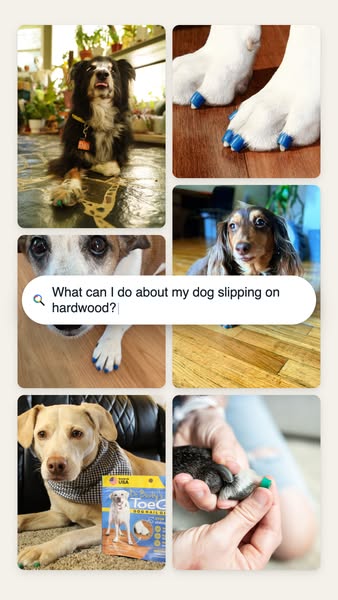 Dr. Buzby’s ToeGrips for dogs ad