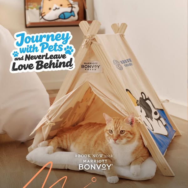 This ad promotes the Marriott Bonvoy program, highlighting its pet-friendly accommodations and inviting viewers to book 