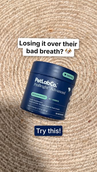 Rio.the.bernedood ad