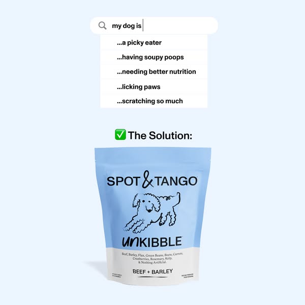 Spot and Tango ad
