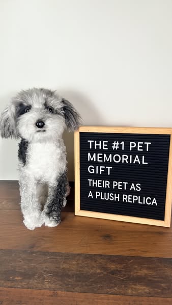 The image ad showcases a plush replica of a pet, positioned next to a letter board that highlights the product as the &#