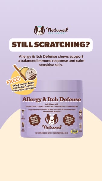 The image ad promotes Allergy & Itch Defense chews for dogs from Natural Dog Company, emphasizing their ability to s