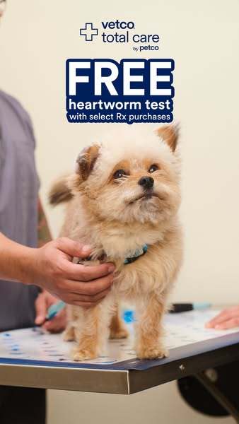 This ad by Vetco Total Care promotes a free heartworm test with select Rx purchases. It features a cute dog getting exam