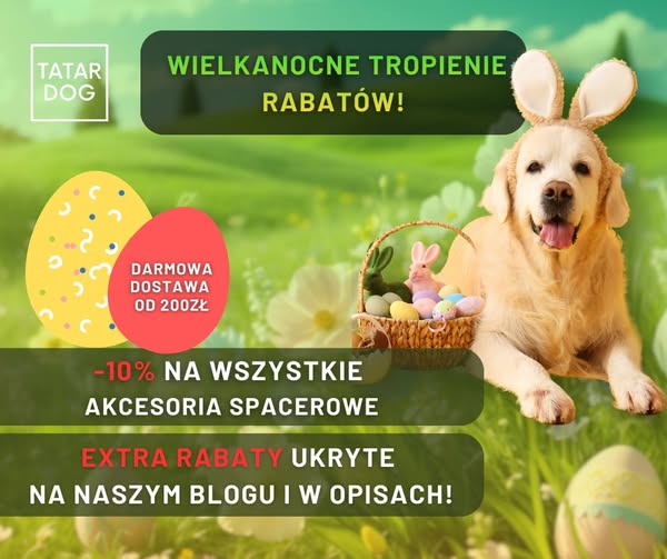 TATAR DOG - Krzysztof Tatar ad