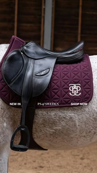 An eye-level shot of a horse and saddle with text, ‘New in PS of Sweden Shop now.’