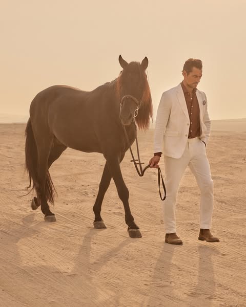 David James Gandy ad