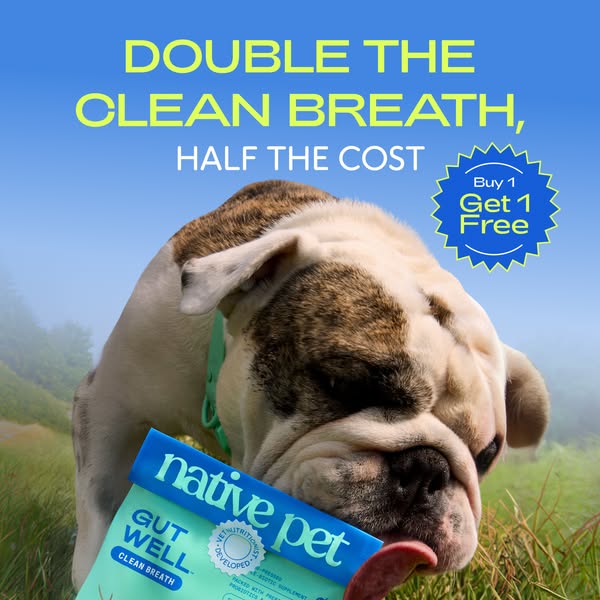 This ad promotes Native Pet's Gut Well Clean Breath supplement for dogs, promising to double the effectiveness of cl