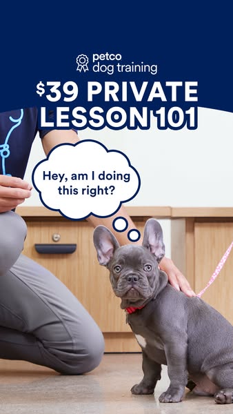 This ad promotes Petco's dog training services with a focus on a private lesson at a discounted price of $39. The ad