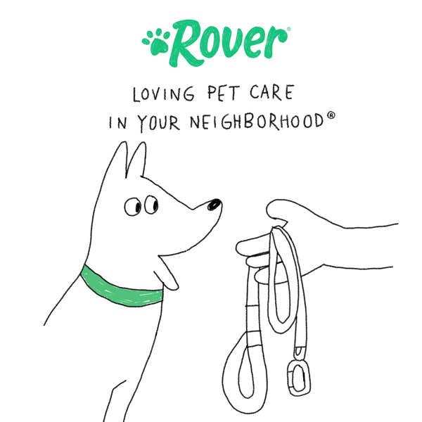 This ad for Rover uses a simple illustration style to convey a message of loving pet care in your neighborhood. It featu
