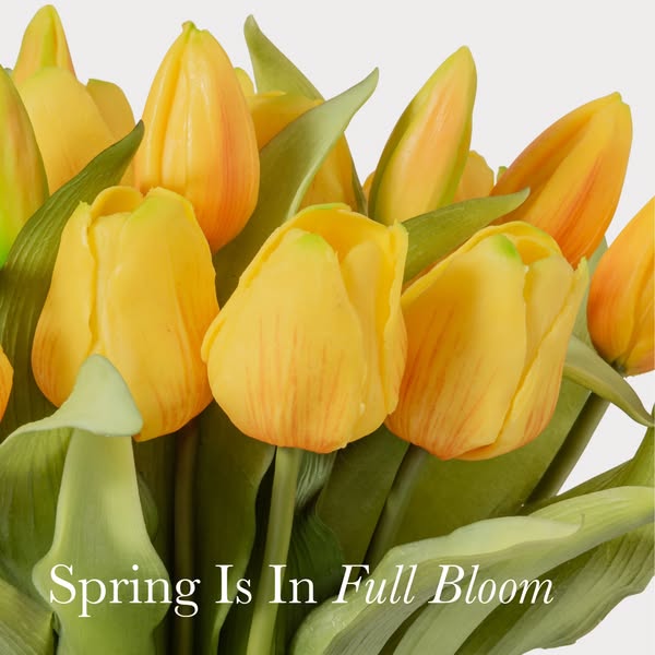 This image ad features a close-up shot of yellow tulips with a headline that reads: "Spring Is In Full Bloom."