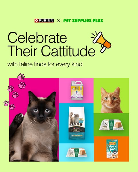 This ad for Purina and Pet Supplies Plus uses a grid layout to display various cat-related products with a cat photo in 