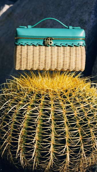 A product shot of a turquoise and wicker purse placed on top of a cactus to highlight its design and promote the brand.
