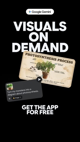 This ad demonstrates Google Gemini's ability to turn a picture of a plant into a diagram about photosynthesis.