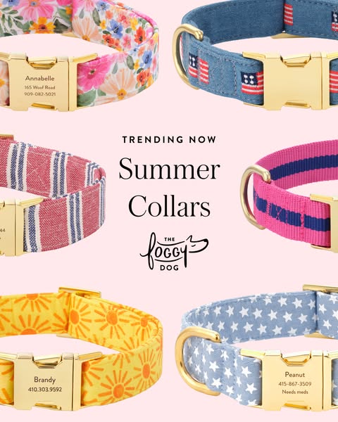 An advertisement featuring an array of colorful and patterned dog collars against a light pink background. The collars a