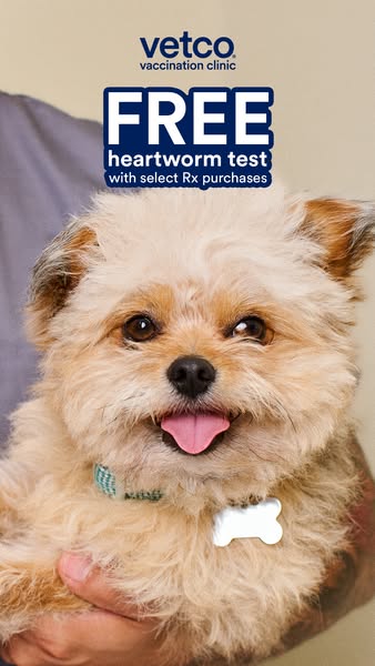This image ad for Vetco promotes a free heartworm test with select Rx purchases and features a happy dog being held by a
