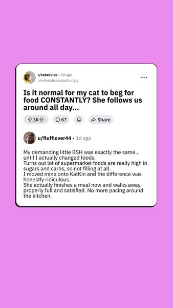 This ad features a screenshot from Reddit from a user asking if their cat constantly begging for food is normal. Another