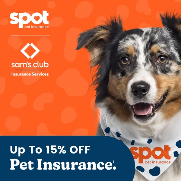 Spot Pet Insurance ad