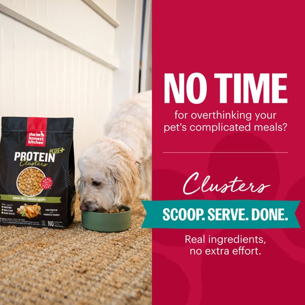 The ad features a bag of The Honest Kitchen PLUS+ Protein Clusters dog food and a dog eating from a bowl. Text in the ad