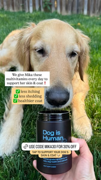 Goldenpup.mika ad