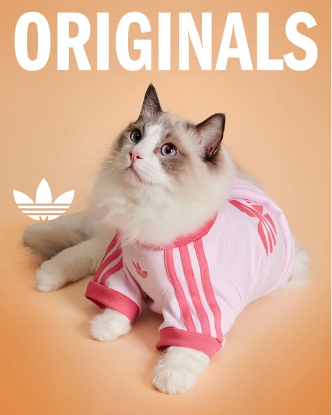 adidas ad