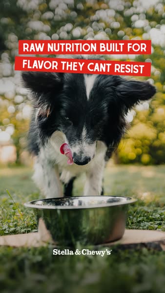 This ad shows a dog enjoying a Stella & Chewy's product. The ad uses the headline 'Raw nutrition built for f