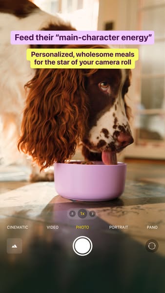 The image is an ad for personalized dog food, showcasing a dog eating from a bowl. The ad is designed to look like someo