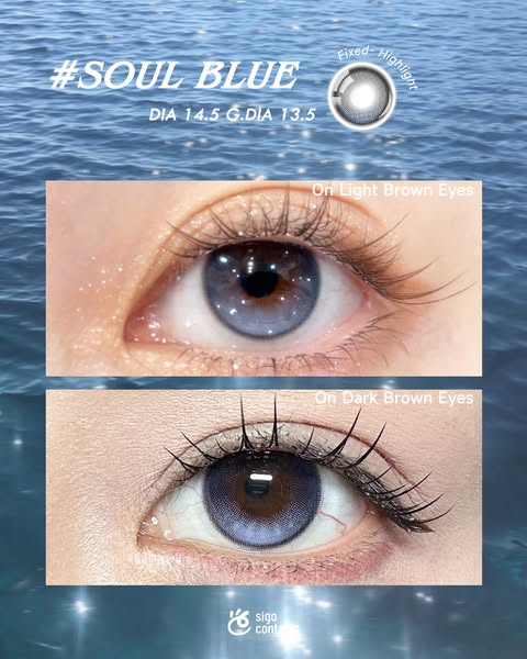 sigocontacts_official ad