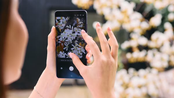 TechRadar ad