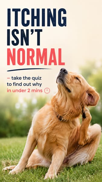 Nourish Pet Co. ad