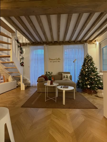mon_appartement_lillois ad