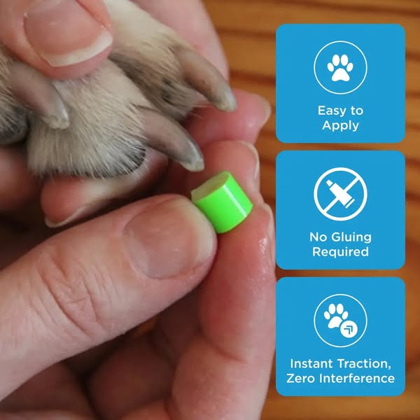 Dr. Buzby’s ToeGrips for dogs ad