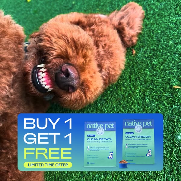 This ad for Native Pet's Clean Breath supplement features an image of a brown dog baring its teeth on a green lawn, 
